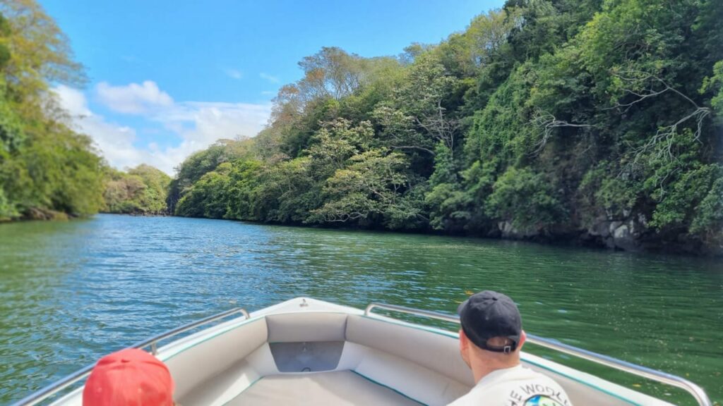 Summer Wings Cruise Grand River South East Waterfalls