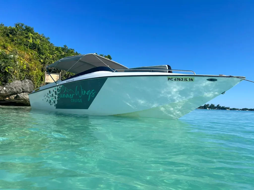 Ailes d'été - Bateau rapide - Île aux Aigrettes