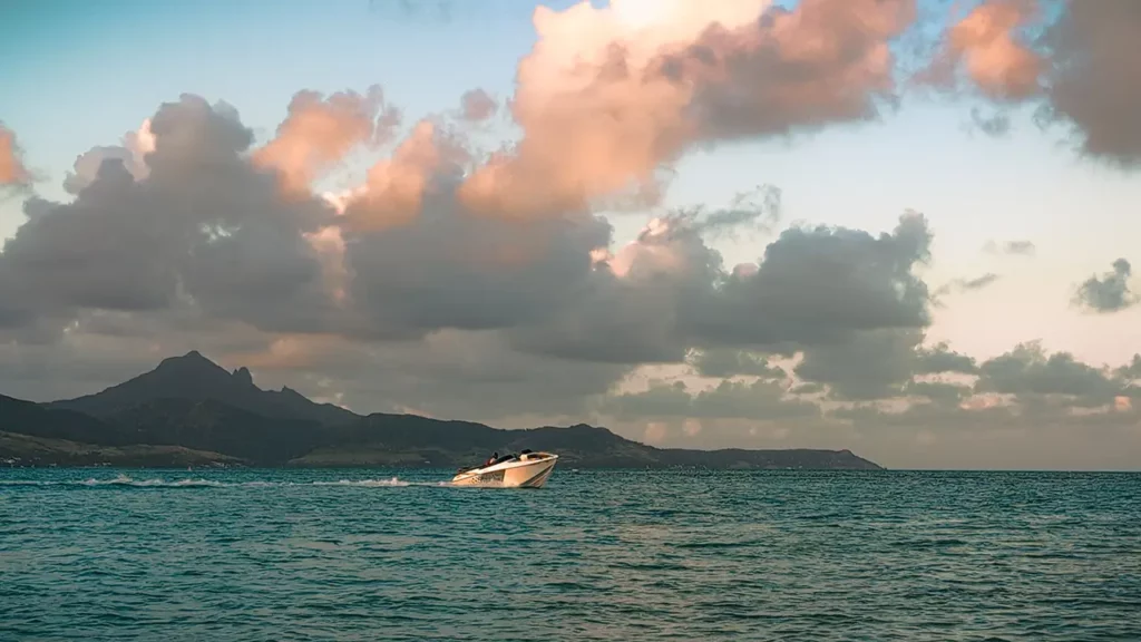 Summer Wings Cruise - Tour en hors-bord