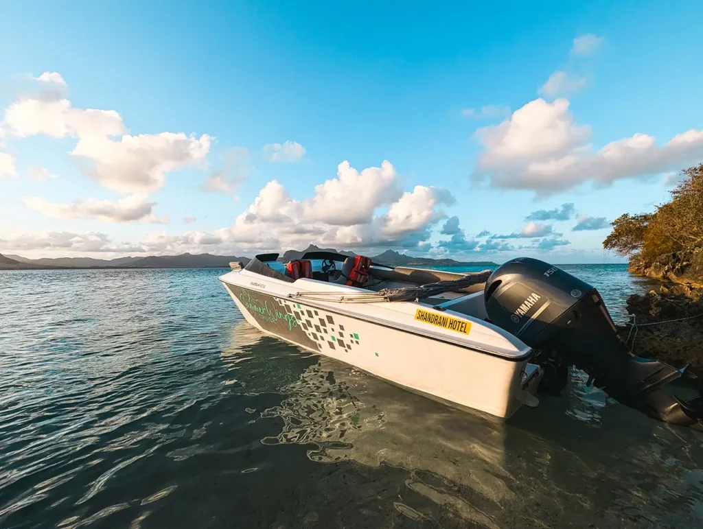 Summer Wings Cruise -Speed Boat - île aux aigrettes